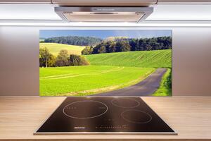 Dekorační panel sklo Plní cesta pl-pksh-100x50-f-72725043