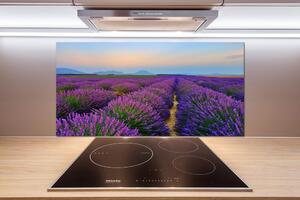 Dekorační panel sklo Pole levandule pl-pksh-100x50-f-73534253