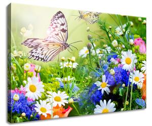 Obraz na plátně Motýli a květiny v krásné zahradě Rozměry: 60 x 40 cm
