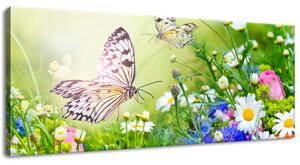 Obraz na plátně Motýli a květiny v krásné zahradě Rozměry: 100 x 40 cm