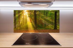 Dekorační panel sklo Les slunce pl-pksh-100x50-f-75879040