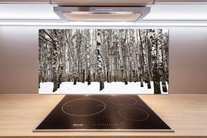 Dekorační panel sklo Břízy zima pl-pksh-100x50-f-76031921