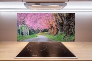 Dekorační panel sklo Květy višně pl-pksh-100x50-f-77554228