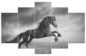 Obraz na plátně Tajemný černý kůň - 5 dílný Velikost: 100 x 63 cm