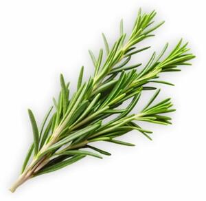Aromatický polštář Rosemary 50x70 cm EMI