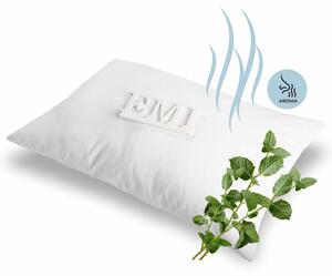 Aromatický polštář Mint 50x70 cm EMI