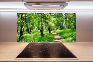 Dekorační panel sklo Břízový les pl-pksh-100x50-f-78692232
