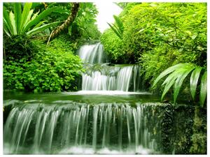 Obraz na plátně Vodopád v deštném pralese Rozměry: 60 x 40 cm