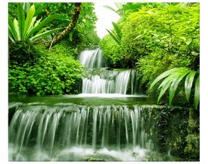 Obraz na plátně Vodopád v deštném pralese Rozměry: 60 x 40 cm