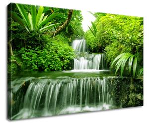 Obraz na plátně Vodopád v deštném pralese Velikost: 60 x 40 cm