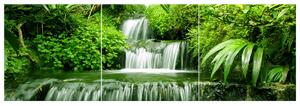Obraz na plátně Vodopád v deštném pralese - 3 dílný Velikost: 90 x 60 cm