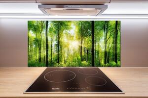 Dekorační panel sklo Les slunce pl-pksh-100x50-f-82972458