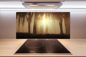 Dekorační panel sklo Mlha v lese pl-pksh-100x50-f-84176608