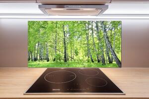 Dekorační panel sklo Břízový les pl-pksh-100x50-f-84161730