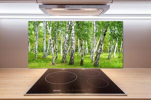 Dekorační panel sklo Břízový les pl-pksh-100x50-f-85613602