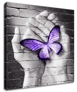 Obraz na plátně Fialový motýl na dlaních Rozměry: 60 x 40 cm