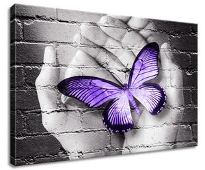 Obraz na plátně Fialový motýl na dlaních Velikost: 60 x 40 cm