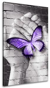 Obraz na plátně Fialový motýl na dlaních Velikost: 60 x 90 cm