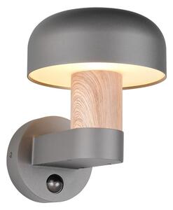 Trio T262569135 venkovní nástěnné svítidlo FRASER E27