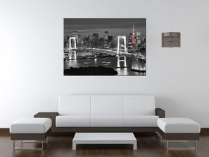 Gario Obraz na plátně Duhový most Tokio Velikost: 115 x 55 cm