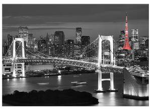 Gario Obraz na plátně Duhový most Tokio Velikost: 115 x 55 cm