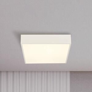 Searchlight LED stropní svítidlo do koupelny Zeus, bílé, délka 30 cm, kov, Bílá / opál, Koupelna, Hliník, Moderní