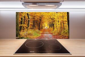 Dekorační panel sklo Podzimní les pl-pksh-100x50-f-86844242