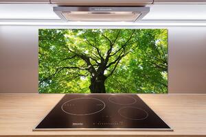 Dekorační panel sklo Zelený les pl-pksh-100x50-f-86959394
