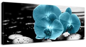 Obraz na plátně Tyrkysová orchidej a kameny Velikost: 30 x 20 cm