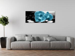 Obraz na plátně Tyrkysová orchidej a kameny Velikost: 30 x 20 cm