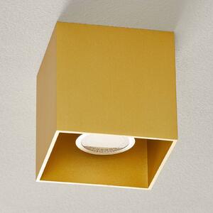WEVER & DUCRÉ Box 1.0 PAR16 stropní svítidlo zlaté barvy