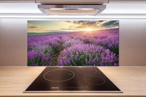 Dekorační panel sklo Pole levandule pl-pksh-100x50-f-88269062