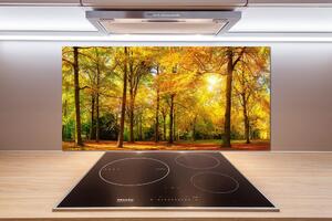 Dekorační panel sklo Podzimní les pl-pksh-100x50-f-89529230