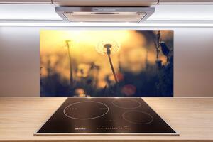 Dekorační panel sklo Pampeliška pl-pksh-100x50-f-89791737