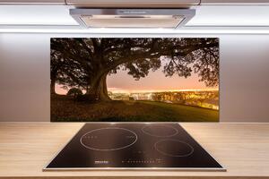 Dekorační panel sklo Starý strom pl-pksh-100x50-f-90219521