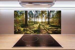 Dekorační panel sklo Sosnový les pl-pksh-100x50-f-92027264