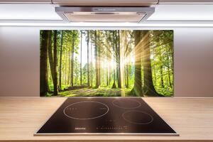 Dekorační panel sklo Les slunce pl-pksh-100x50-f-92474685