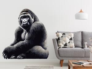 Gorila arch 42 x 45 cm