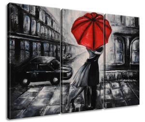 Obraz na plátně Červený polibek v dešti - 3 dílný Velikost: 90 x 60 cm