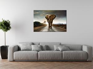 Obraz na plátně Osamělý silný slon Rozměry: 120 x 80 cm