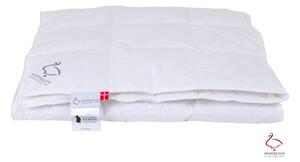 Letní přikrývka s péřovou výplní 200x140 cm Jack the Dullard – Ringsted Dun