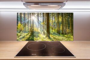 Dekorační panel sklo Les slunce pl-pksh-100x50-f-98252702