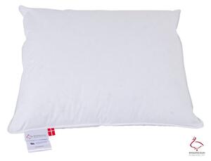 Polštář s péřovou výplní 50x70 cm Jack the Dullard – Ringsted Dun