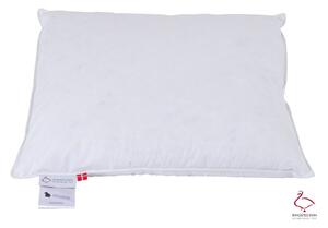 Polštář s péřovou výplní 70x80 cm Jack the Dullard – Ringsted Dun