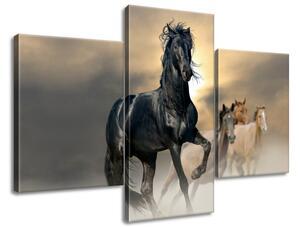 Gario 3 dílný obraz na plátně Nádherný černý kůň Velikost: 90 x 60 cm