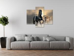 Gario 3 dílný obraz na plátně Nádherný černý kůň Velikost: 90 x 60 cm