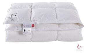 Zimní přikrývka s péřovou výplní 200x140 cm Snow Queen – Ringsted Dun