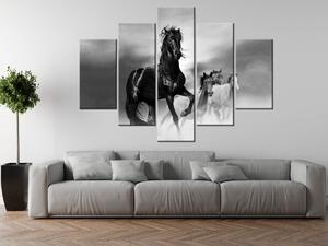 Gario 5 dílný obraz na plátně Pozorný černý kůň Velikost: 150 x 70 cm