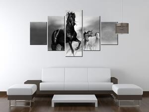 Gario 5 dílný obraz na plátně Pozorný černý kůň Velikost: 150 x 70 cm
