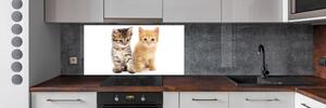 Panel do kuchyně Hnědá a červená kočka pl-pksh-140x70-f-101681955